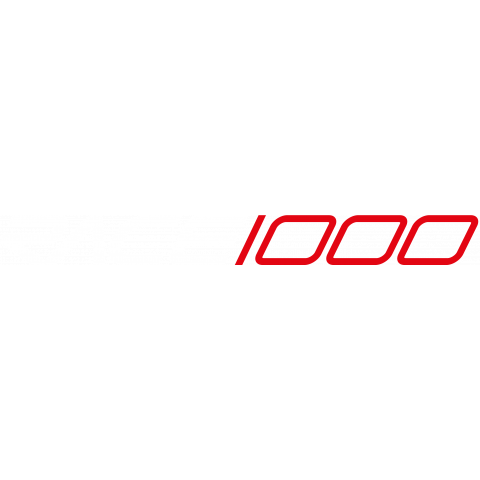 RACE1000 STICKER (PLOTTED)